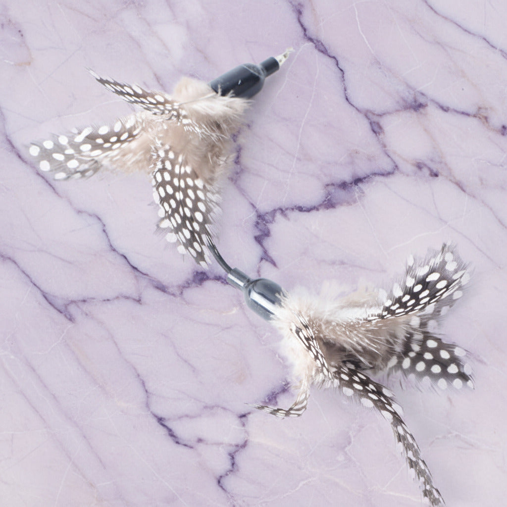 Feather Cat Toys Deluxe Set