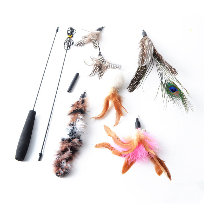 Feather Cat Toys Deluxe Set